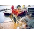 Kép 9/11 - Rock Cleaner LRC Brush Skimmer